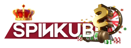 SPINKUB